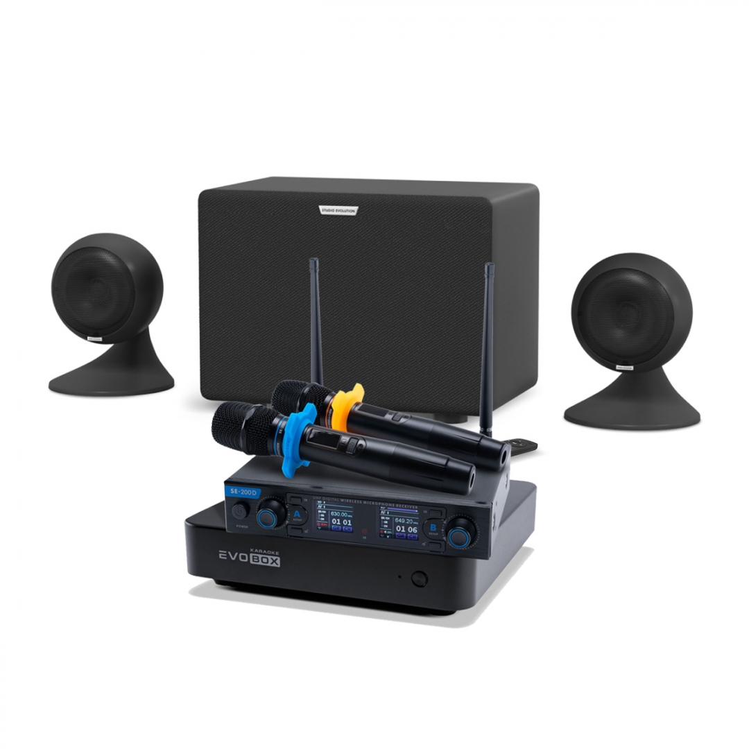 караоке-комплект EVOBOX + EvoSound Sphere 2.1 в Нерюнгрях