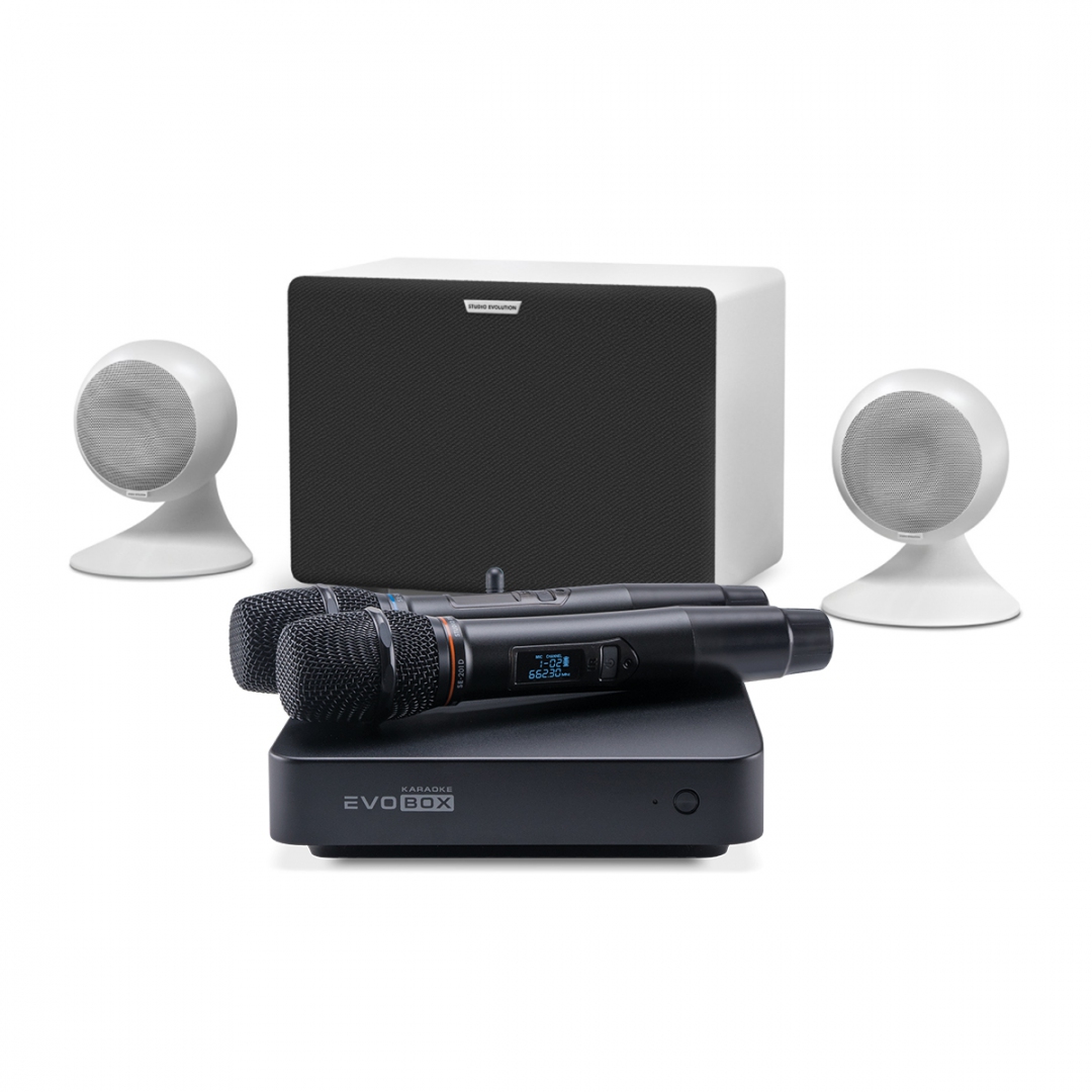 караоке-комплект EVOBOX Classic + EvoSound Sphere 2.1 в Нерюнгрях