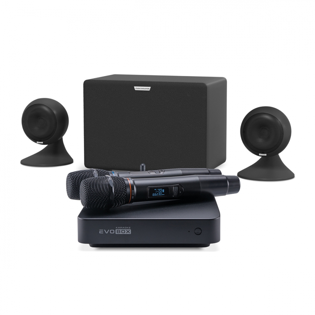 караоке-комплект EVOBOX Plus + EvoSound Sphere 2.1 в Нерюнгрях