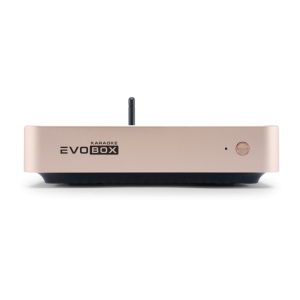 EVOBOX Classic караоке-система для дома в Нерюнгрях