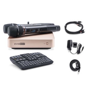 EVOBOX Classic караоке-система для дома в Нерюнгрях