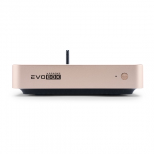 EVOBOX Plus караоке-система для дома в Нерюнгрях