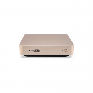 EVOBOX с микрофонами в Нерюнгрях